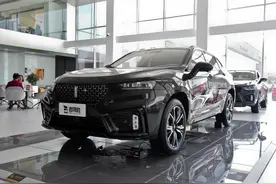 四出排气高颜值，大空间自动挡高端SUV，带你看WEY VV7图片