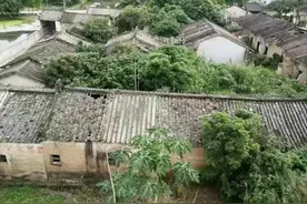 梦里的亲人，是思念的表达，好久没有梦见您了，您已转世了吗？图片