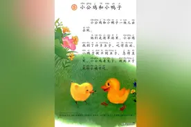 一年级下册语文课文5《小公鸡和小鸭子》图文详解及同步练习图片