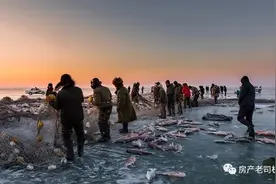 热度骤降，奉化楼市就这样凉了吗？图片