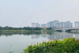 四川有一座适合养老的小城，医疗教育交通充足，距离成都仅半小时图片