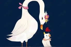 有多少不孝，是从寒心开始的图片