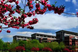 河南大学和山西大学争相深耕省会，河北大学却瞄准“县级市”？图片