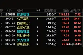 盐湖提锂有望成为下半年最强风口！附最全概念股名单图片