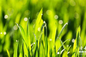 这10句经典台词，有你熟悉的么？图片