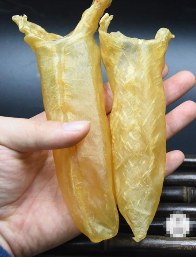 电视演的花胶炖鸡汤 2025年花胶炖鸡汤的做法大全