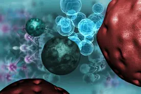 正常细胞和癌细胞的10大区别！一文说清楚图片