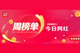 周榜 | 薇娅4.5亿GMV夺冠；大鹅小象周流水破亿图片