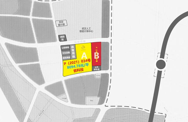 光谷10宗地199.2亿揽入囊中｜成交详解