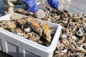 立冬过后，这5种海鲜多给家人吃，好吃不贵，补全营养过冬天图片