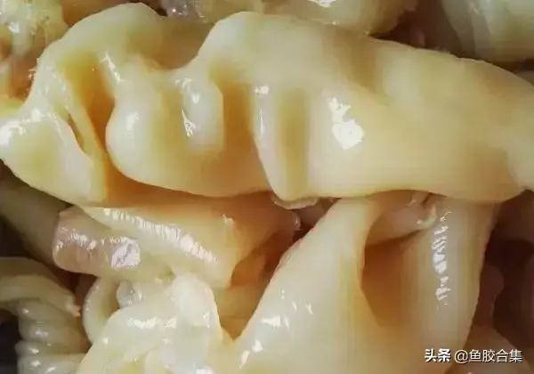 花胶炖完可以吃吗 2026年花胶炖完可以吃吗有毒吗 花胶炖完可以吃吗 2026年花胶炖完可以吃吗有毒吗