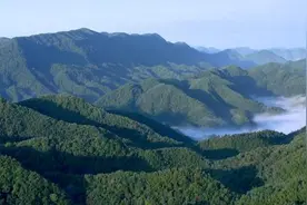 “秦岭四宝”都有啥？陕西公布秦岭野生动植物保护成果图片