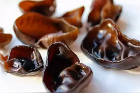春木耳or秋木耳究竟哪个更有营养？一篇文章告诉你图片