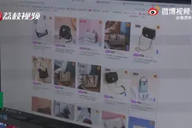 女子网购32次买真退假被抓图片