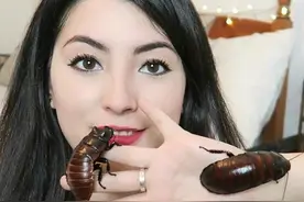 盘点世界上的可怕宠物，大多是猛兽，你们敢养吗？图片