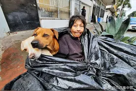 65岁流浪者和6条流浪狗相伴8年，相拥睡在垃圾袋里取暖图片