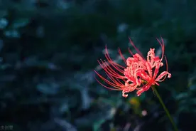 农村俗语“脸有酒窝，脖后有痣，身有胎记”，不是报恩就是寻仇图片