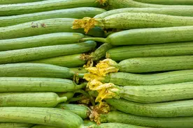 买丝瓜挑“长的”还是“短的”？大多数人不会挑，难怪味道不鲜美图片