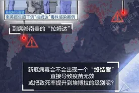 新冠病毒会消亡还是进化？这可能是最接近事实的答案图片