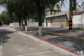 焦作民主南路约2公里变美了，全换成彩色透水砖，增加8条通道图片