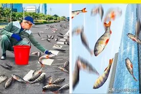 地球上存在的7种比较难遇见的稀有自然现象图片