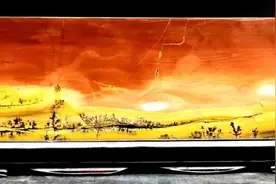 骑车途中捡到“天子”奇石，放古代那就是无价之宝图片