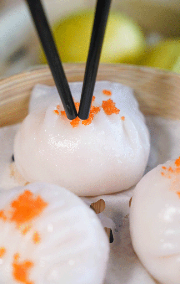 花胶与牛展能同炖吗 2026年花胶可以和牛骨一起煲汤吗