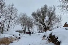 传统的东北老菜：杀猪菜，竟让离乡的东北人念念不忘，日夜思念图片