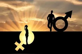 雄性交配、排尿器官合在一起，雌性却分开，为何有如此差异？图片