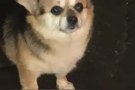 即将上研究生的同学进来看看，避免避雷！图片