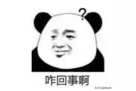 “熊孩子”把路边小车当蹦床险酿事故 附监控视频！| 一线微观图片