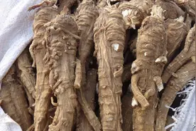 ​农村很多昆虫、植物城里价格很高，如何找到销路？3个方法可用图片