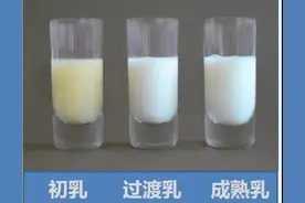 初乳、前奶、后奶、稀奶、稠奶区别在哪？究竟哪个营养值高？图片