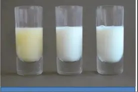 初乳、前奶、后奶、稀奶、稠奶区别在哪？究竟哪个营养值高？图片