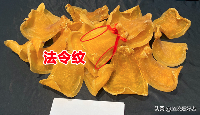 白鳘赤嘴鱼胶 2026年白鳘赤嘴鱼胶的功效