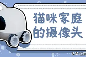 摄像头在猫咪眼中，到底是怎样的存在？图片