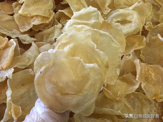 干鱼胶和鲜鱼胶效果一样吗 2026年干鱼胶和鲜鱼胶效果一样吗图片