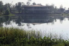 摄影｜成都市桂溪湿地公园图片