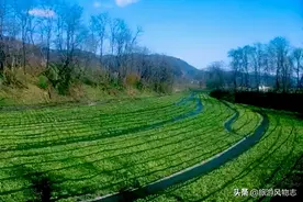 河北沧州唯一的山，海拔只有36.18米，你去过吗？图片
