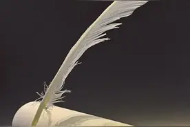 霸道总裁为什么总喜欢用钢笔，原来是为了方便笔迹鉴定图片