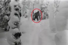 9名青年雪山离奇死亡，相机记录下诡异照片，迪亚特洛夫事件真相图片