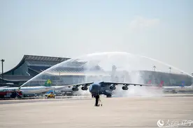 英雄回家丨网友致敬：出征少年身，归来英雄魂图片