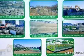 这些违建，拆了图片