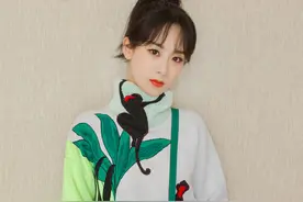 为什么出名了15年的杨紫，现在才真正火起来？图片