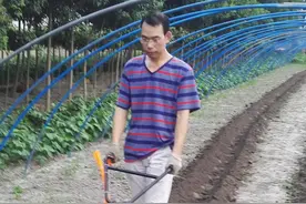 新式“打药机”一出，喷雾器扔了吧！省时省工，家家用得起图片