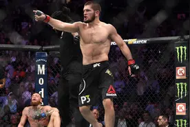 “小鹰”哈比布怒赞：UFC254是今年最强对阵卡图片