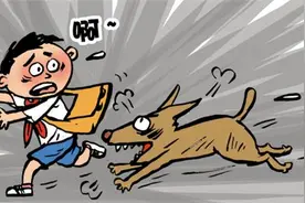 小明与民法典 | 孩子被狗咬了找谁去理赔？图片