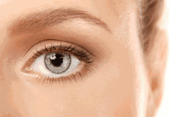 喝了花胶汤很困 2026年喝了花胶汤很困想睡觉