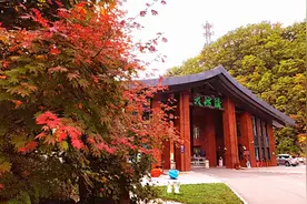 本溪这九处赏枫景区，枫叶飘红图片