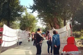 沈阳“南湖公园”走红，成相亲圣地，70%以上为女孩图片